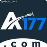 A177 game