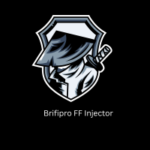 Brifipro FF Injector