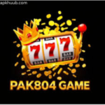 PAK804 game